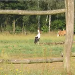 Pustane Nyaraló Neu Zauche