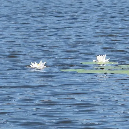 Pustane Σπίτι διακοπών *