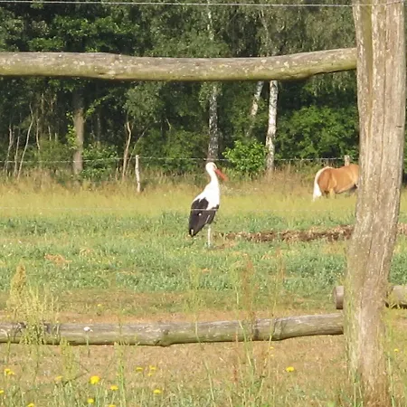 Pustane Semesterbostad Neu Zauche