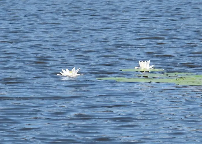 Pustane Prázdninový dům *