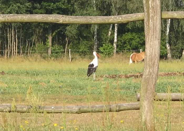 Pustane Prázdninový dům Neu Zauche